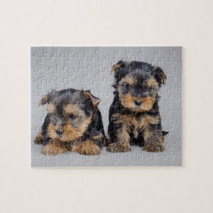 Yorkies Legpuzzel