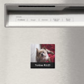 Yorkies RULE ! magnet de frigo (In Situ (Lave-vaisselle))