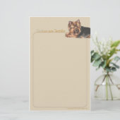 Yorkies sont papeterie terrible (Debout devant)