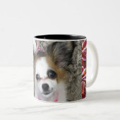 Yorkipoo café tasse (Devant droit)