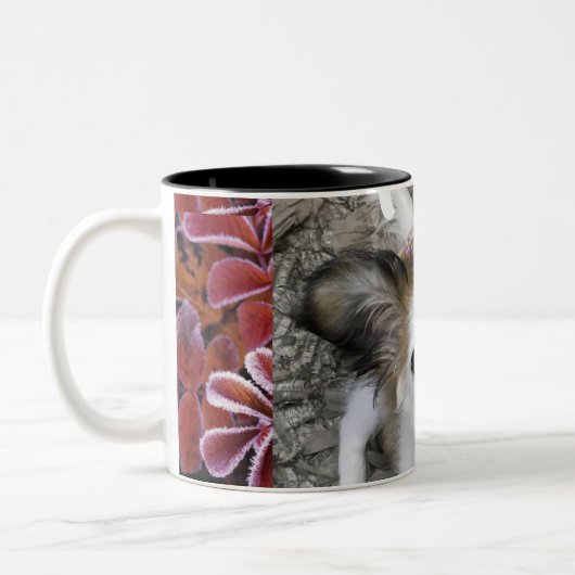 Yorkipoo café tasse (Gauche)
