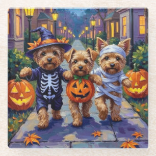 Yorkipoo snoep vragen in Halloween kostuums Glazen Onderzetter