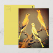 YORKSHIRE CANARIES BRIEFKAART (Voorkant / Achterkant)