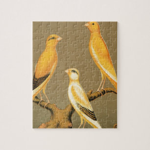 YORKSHIRE CANARIES LEGPUZZEL