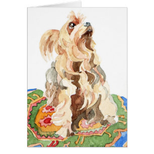 Yorkshire doodsbang 2012