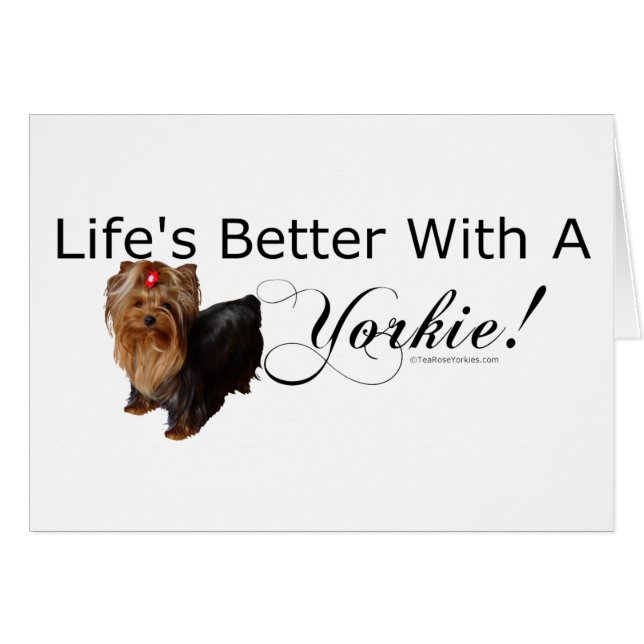 Yorkshire Terrier (Voorkant Horizontaal)