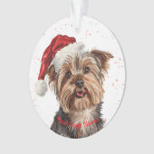 Yorkshire Terrier (devant)