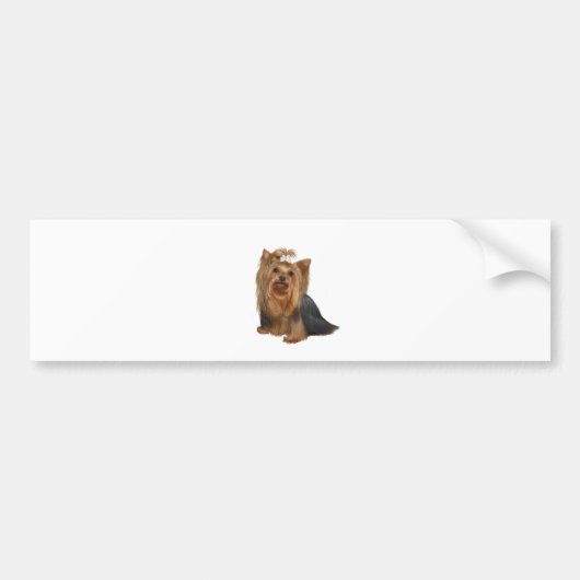 Yorkshire Terrier (7) Bumpersticker (Voorkant)