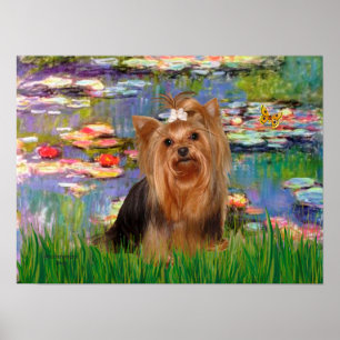 Yorkshire Terrier 7 - Waterlelies 2 Poster