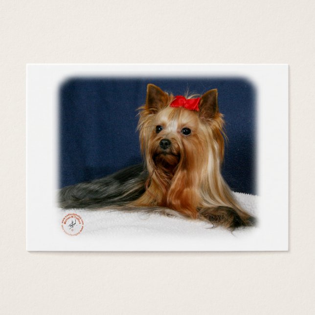 Yorkshire Terrier 9Y110D-064 (Devant)