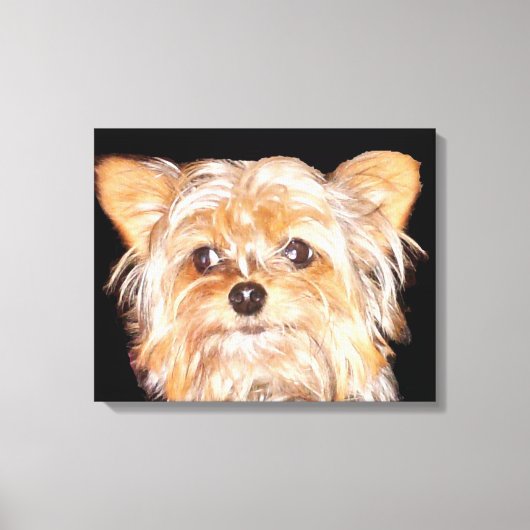 Yorkshire Terrier a étiré la copie de toile (Recto)