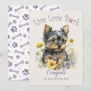 Yorkshire Terrier Adoptie, Gotcha Dag Kaart