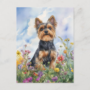 Yorkshire Terrier - Briefkaart