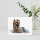 Yorkshire Terrier Briefkaart (Staand voorkant)