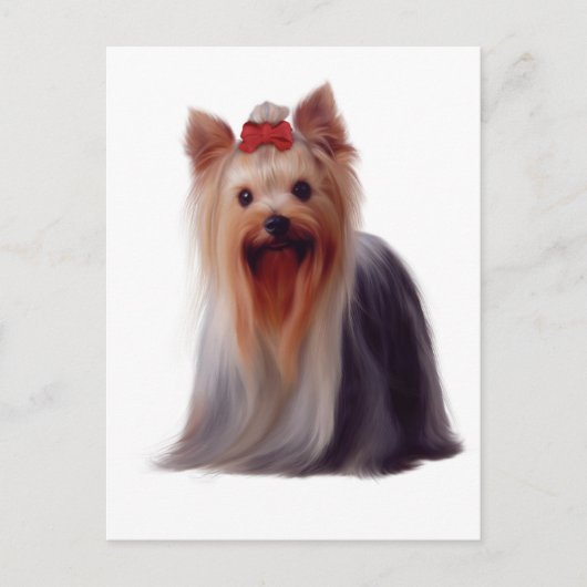 Yorkshire Terrier Briefkaart (Voorkant)