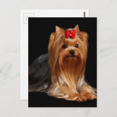 Yorkshire Terrier Briefkaart (Voorkant / Achterkant)