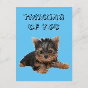 YORKSHIRE TERRIER BRIEFKAART
