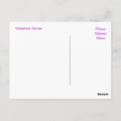 Yorkshire Terrier Briefkaart (Achterkant)