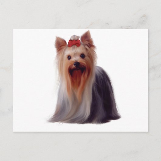 Yorkshire Terrier Briefkaart (Voorkant)