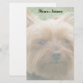 Yorkshire Terrier Briefpapier (Voorkant / Achterkant)