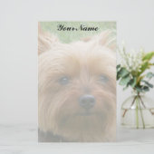 Yorkshire Terrier Briefpapier (Staand voorkant)