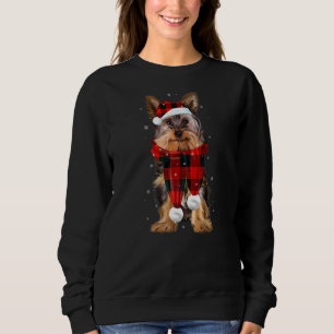 Yorkshire Terrier Buffalo Pset Yorkie Dog Christus Trui