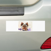 Yorkshire Terrier Bumpersticker (Op auto)