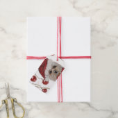 YORKSHIRE TERRIER  CADEAULABEL (Met Touw)