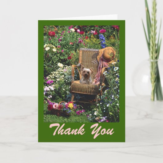 Yorkshire Terrier Card Merci (Devant)