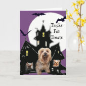 Yorkshire Terrier Carte de voeux Halloween (Fleur jaune)