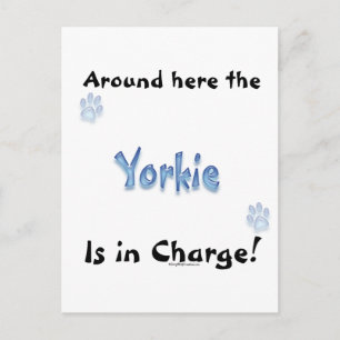 Yorkshire Terrier Charge Briefkaart