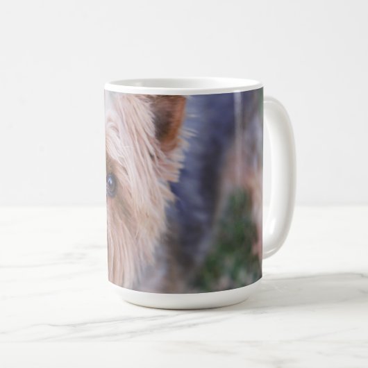 Yorkshire Terrier Closeup Coffee Mug (Devant droit)