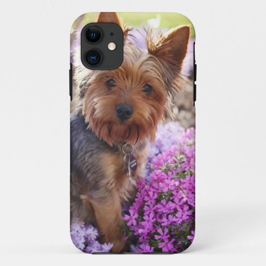 Yorkshire Terrier coque iphone en bois sculpté (Dos)