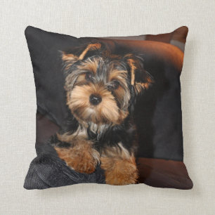 Yorkshire Terrier coussin