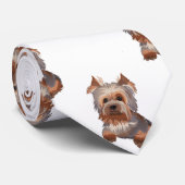 Yorkshire Terrier Cravate (Roulé)