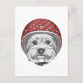 Yorkshire Terrier Dareduivel Briefkaart (Voorkant)