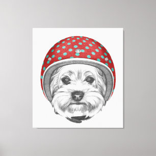 Yorkshire Terrier Dareduivel Canvas Afdruk
