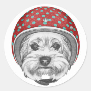 Yorkshire Terrier Dareduivel Ronde Sticker