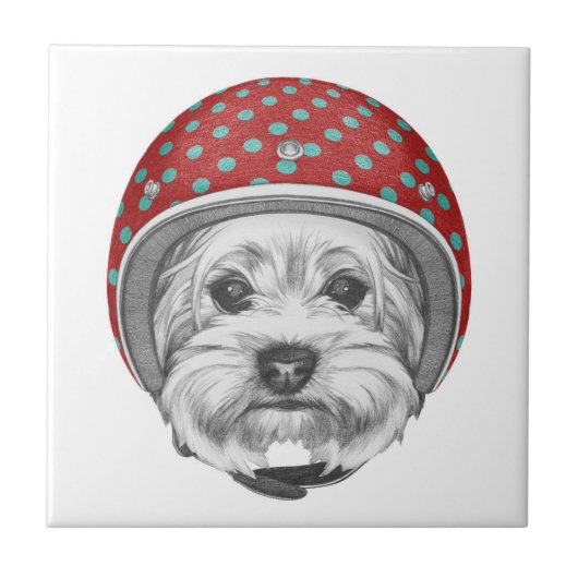 Yorkshire Terrier Dareduivel Tegeltje (Voorkant)