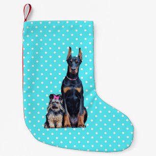 Yorkshire Terrier Doberman Blauwe stippen Kleine Kerstsok