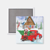 Yorkshire Terrier Dog in kerstcadeau Magneet (Voorkant / Achterkant)