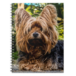 Yorkshire Terrier Dog Notitieboek