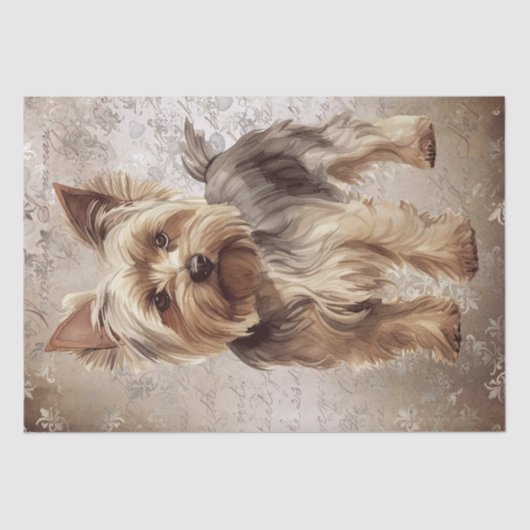 Yorkshire Terrier Dog Tissuepapier (Voorkant)