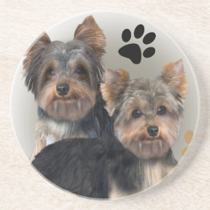 Yorkshire Terrier Double Trouble Dessous de verre