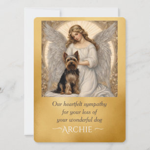 Yorkshire Terrier Elegant Engel Sympathie