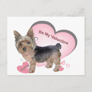 Yorkshire Terrier En Cartes Roses