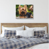 Yorkshire Terrier Foto canvas wandkunst (Insitu (Slaapkamer))