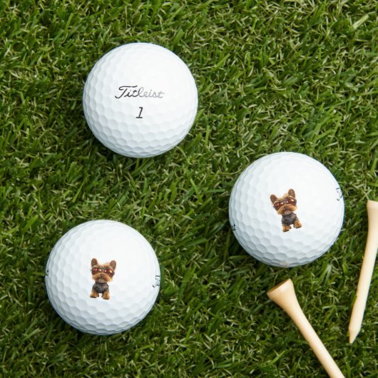 Yorkshire Terrier Golfballen (Insitu Gras)