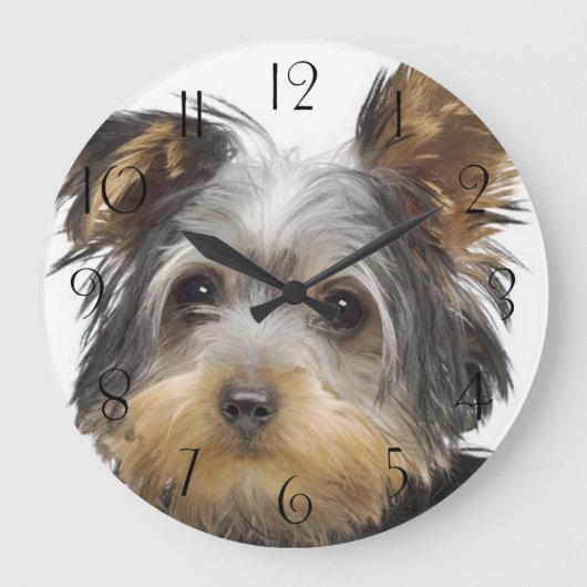 Yorkshire Terrier Grote Klok (Voorkant)