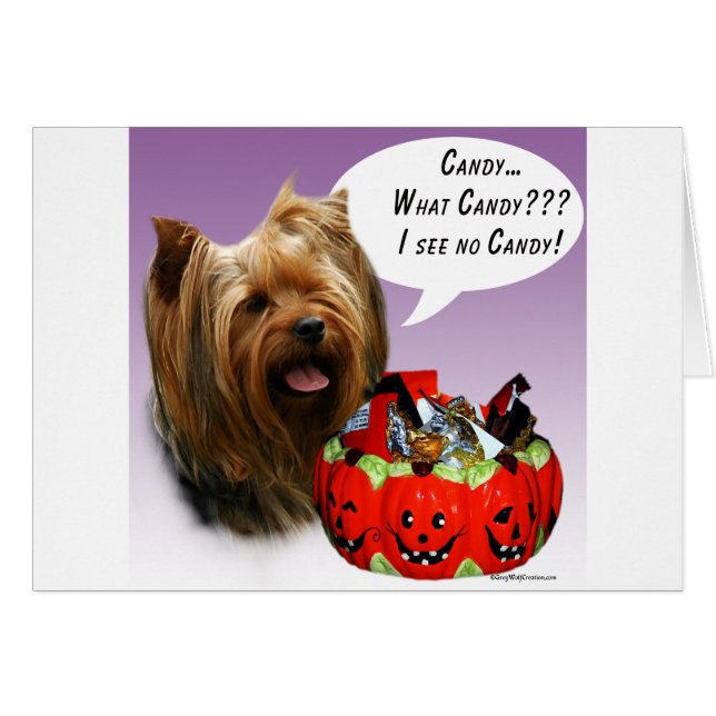 Yorkshire Terrier Halloween Candy (Devant horizontal)